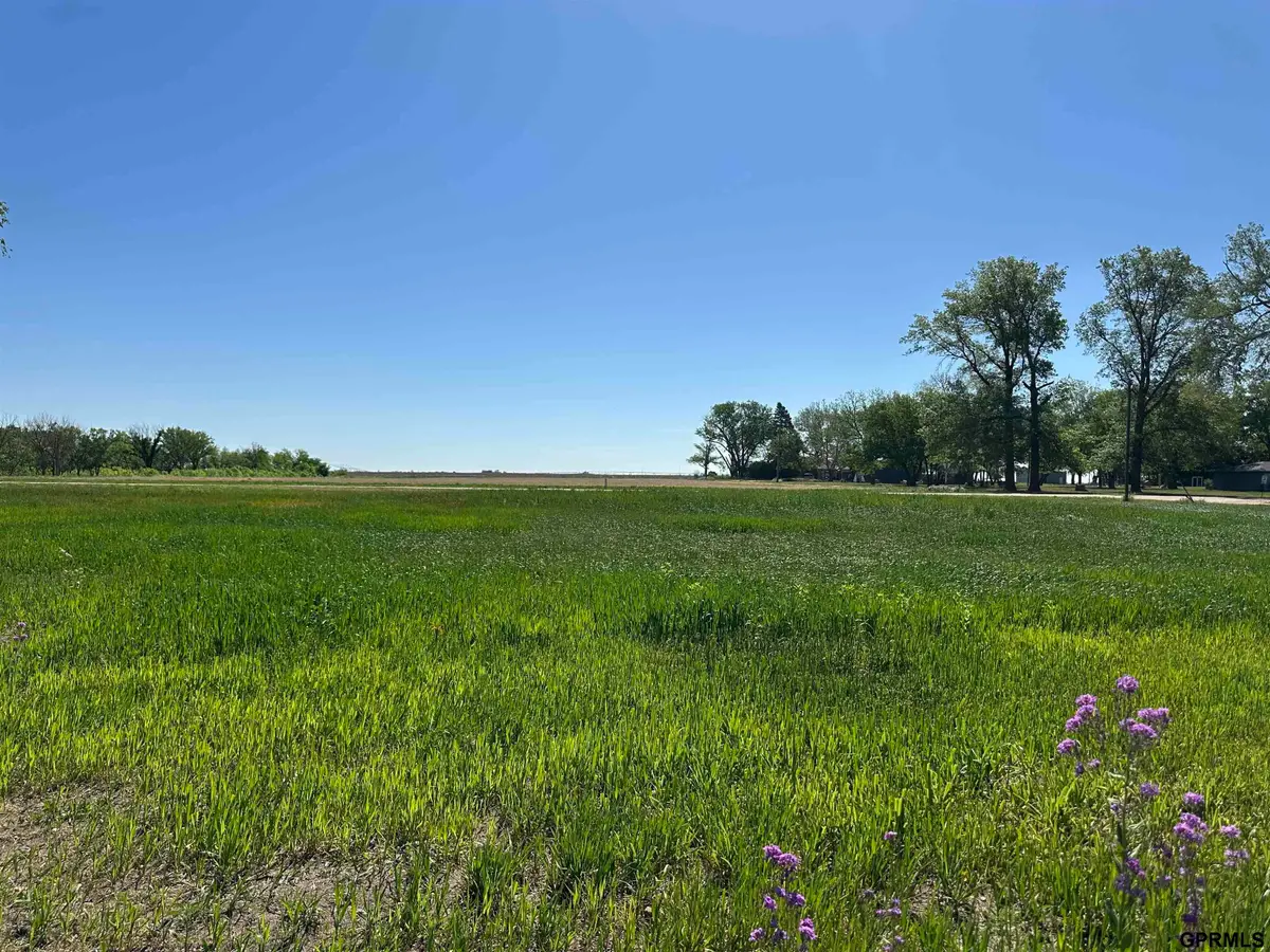 302 and 304 Main Street, Ong, NE 68452 - #1