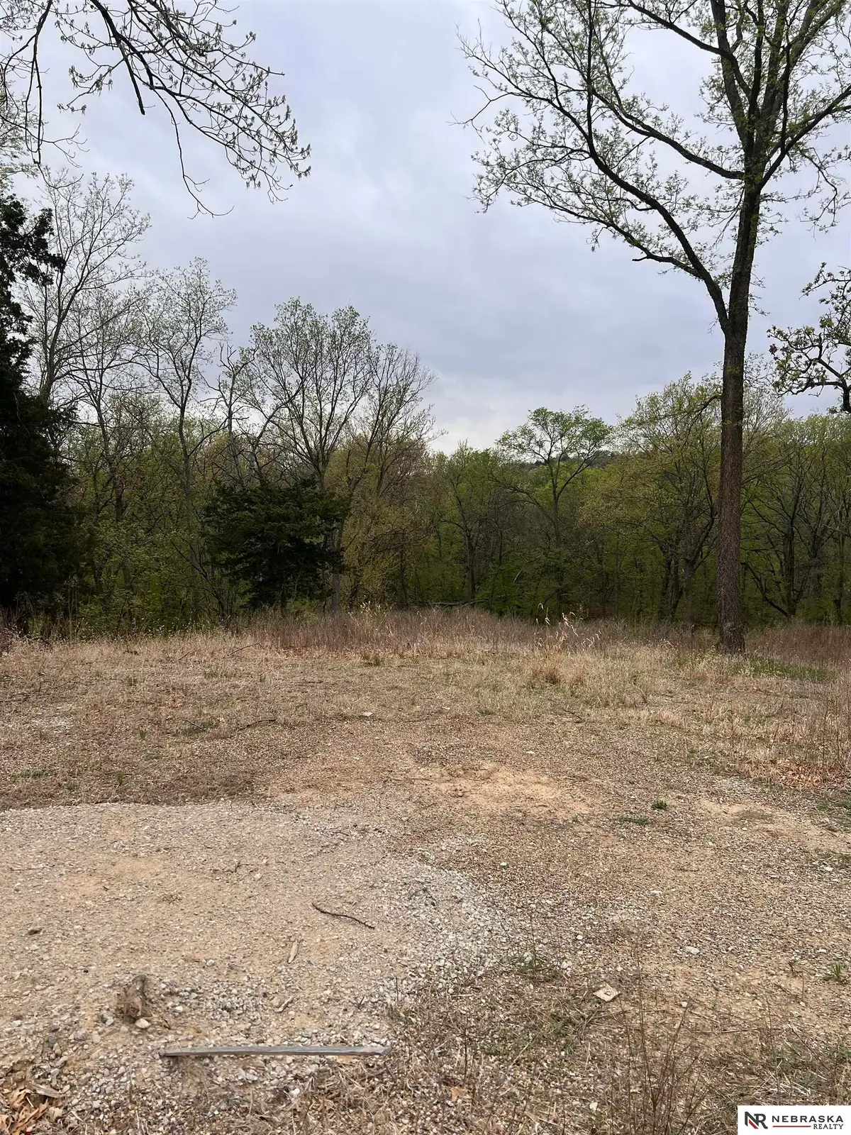 LOT 9R Ravens Nest Two, Louisville, NE 68037-9999 - #1