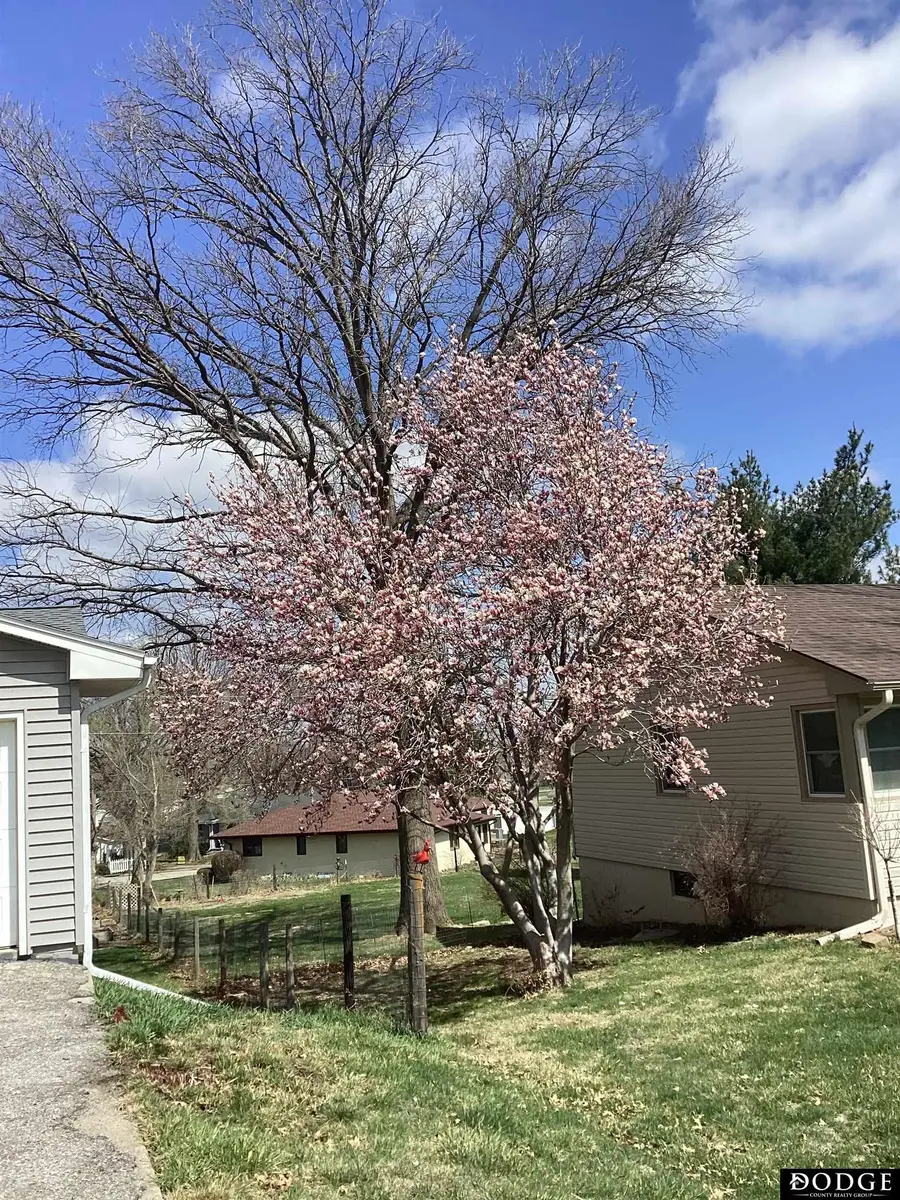 1452 Wilbur Street, Blair, NE 68008 - #2