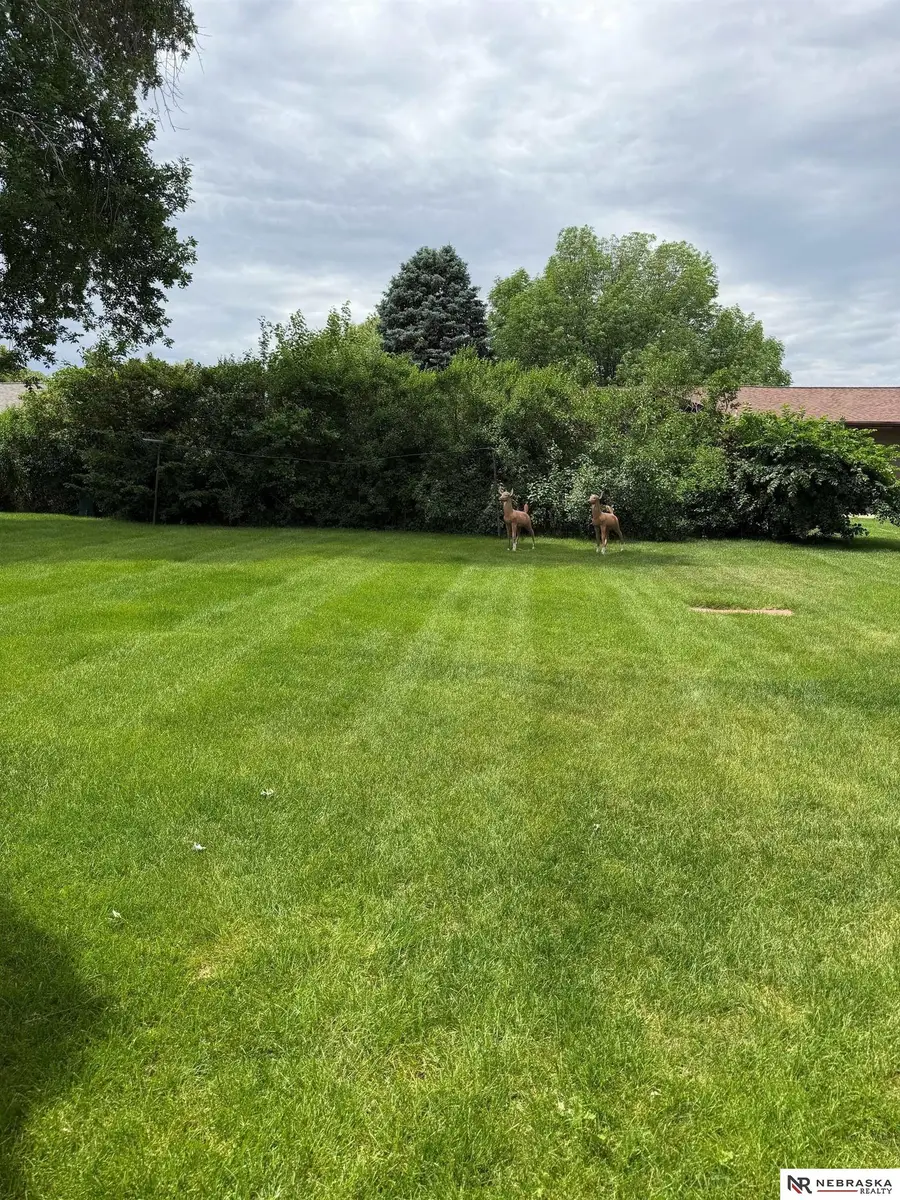 102 W Ken Miller Circle, Hartington, NE 68739 - #3