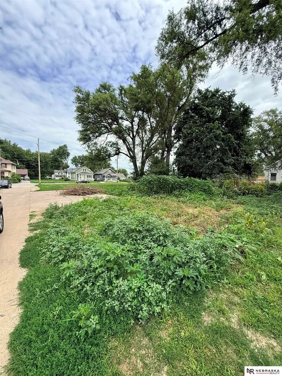 1715 Lake Street, Omaha, NE 68110 - #3