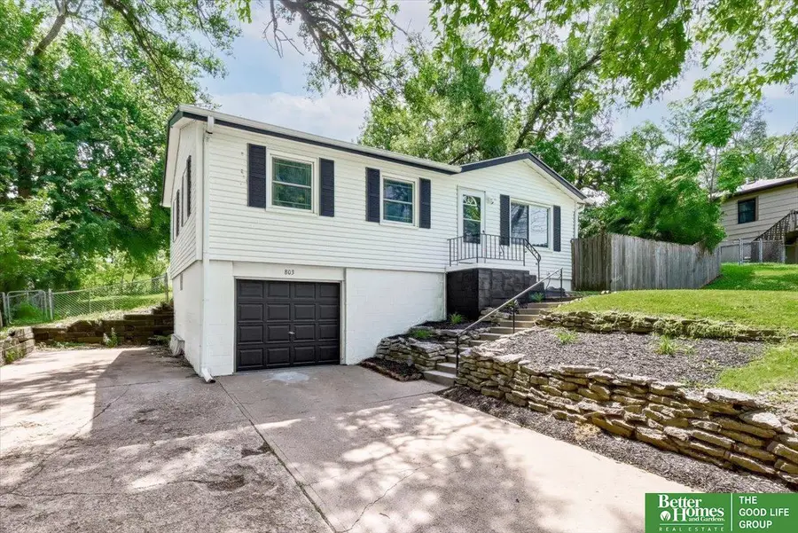 803 Terrace Avenue, Bellevue, NE 68005 - #3