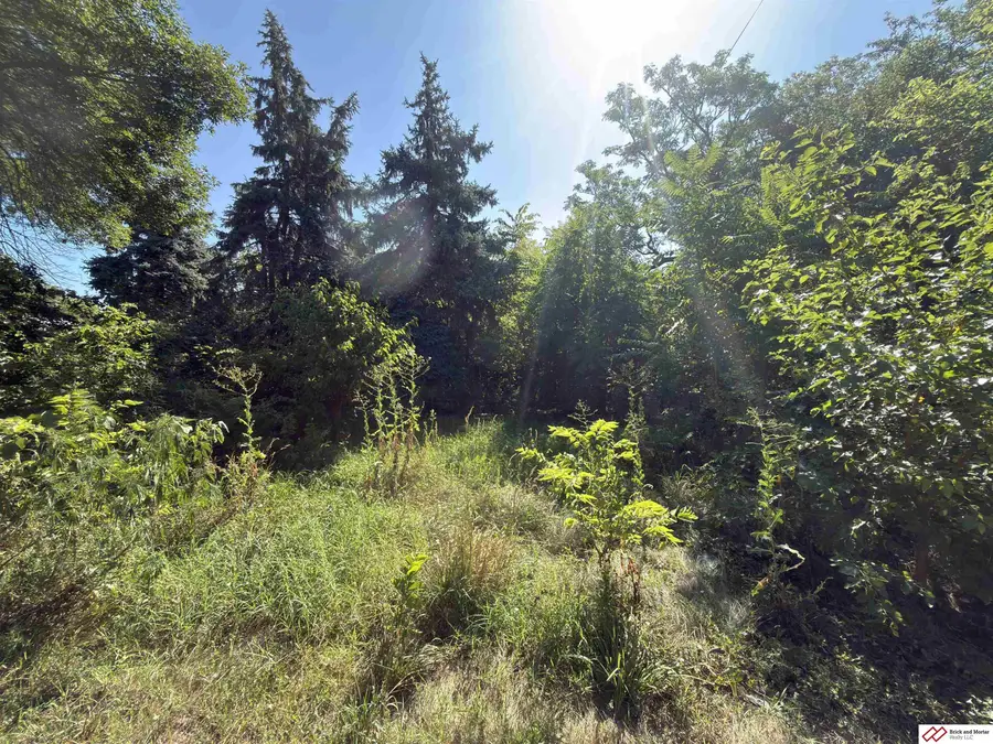 206 Elm Street, Tobias, NE 68453 - #3