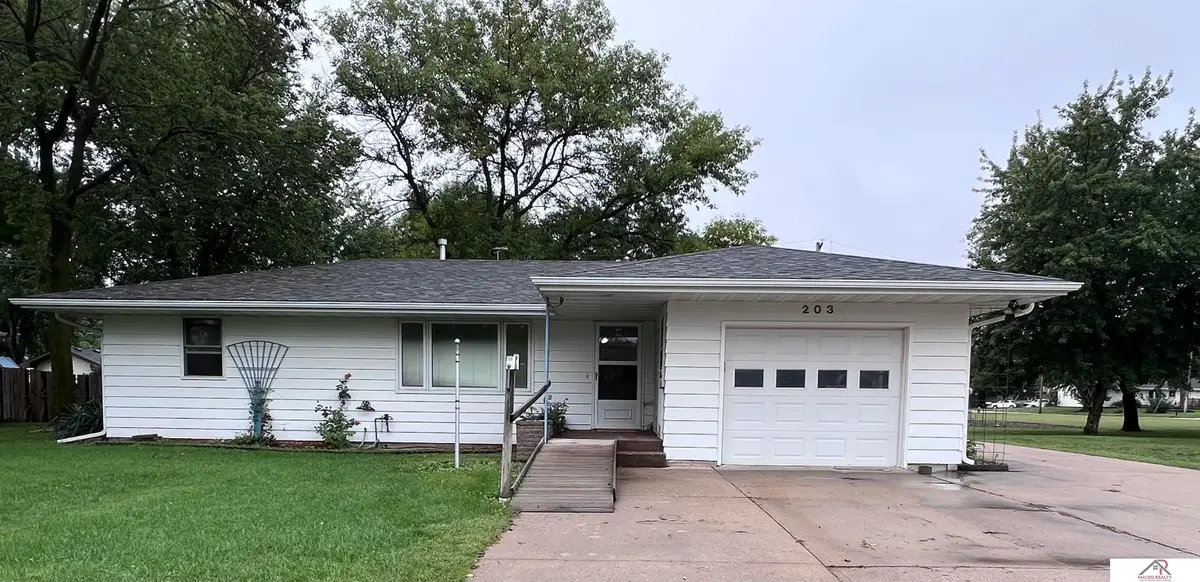 203 N Fern Circle Drive, De Witt, NE 68341 - #1