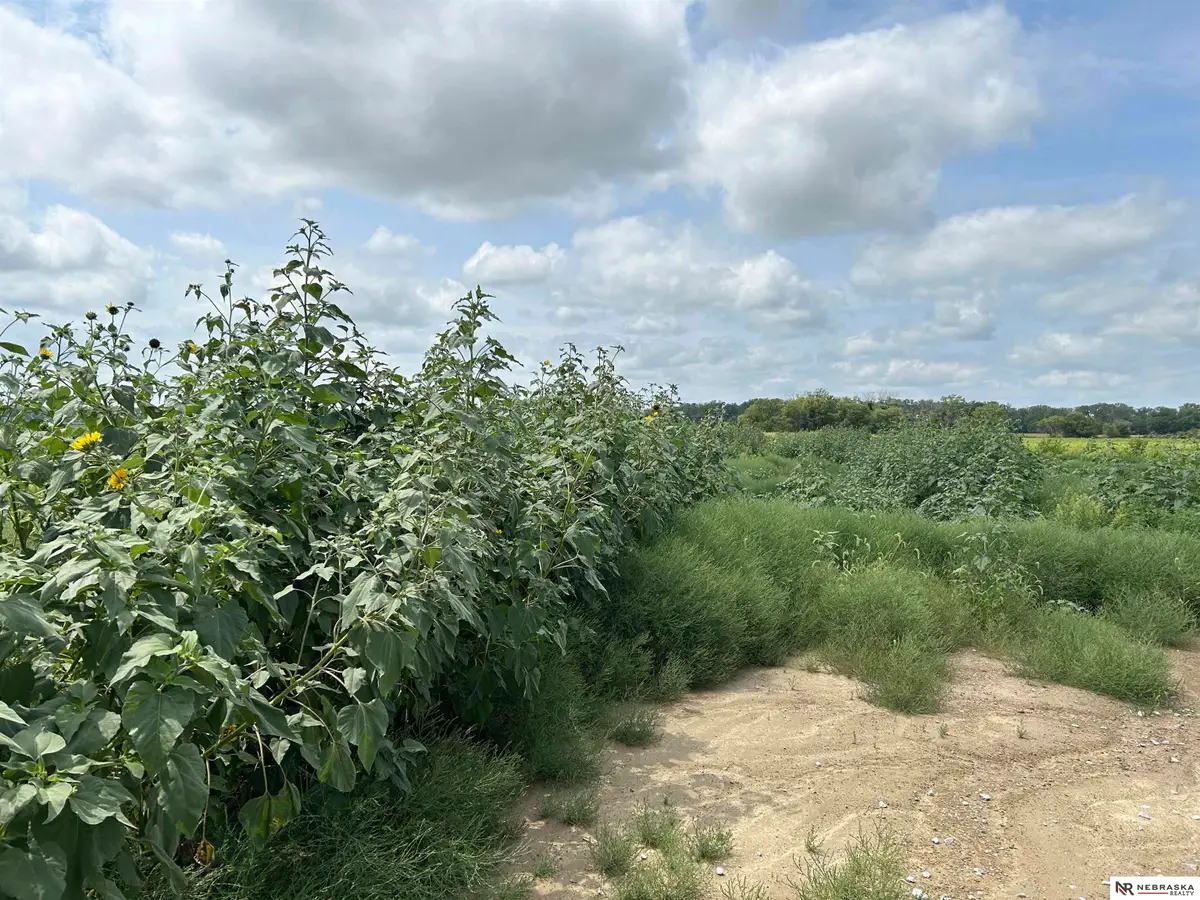 TBD S 240th Street, Gretna, NE 68028 - #1