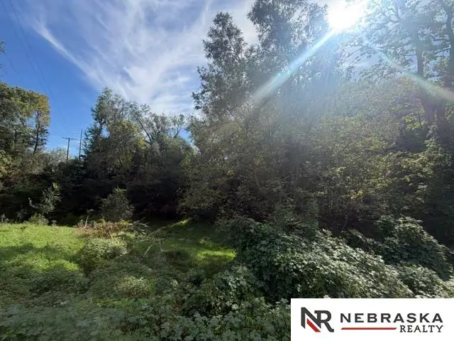 615 Castelar Street, Omaha, NE 68108 - #2