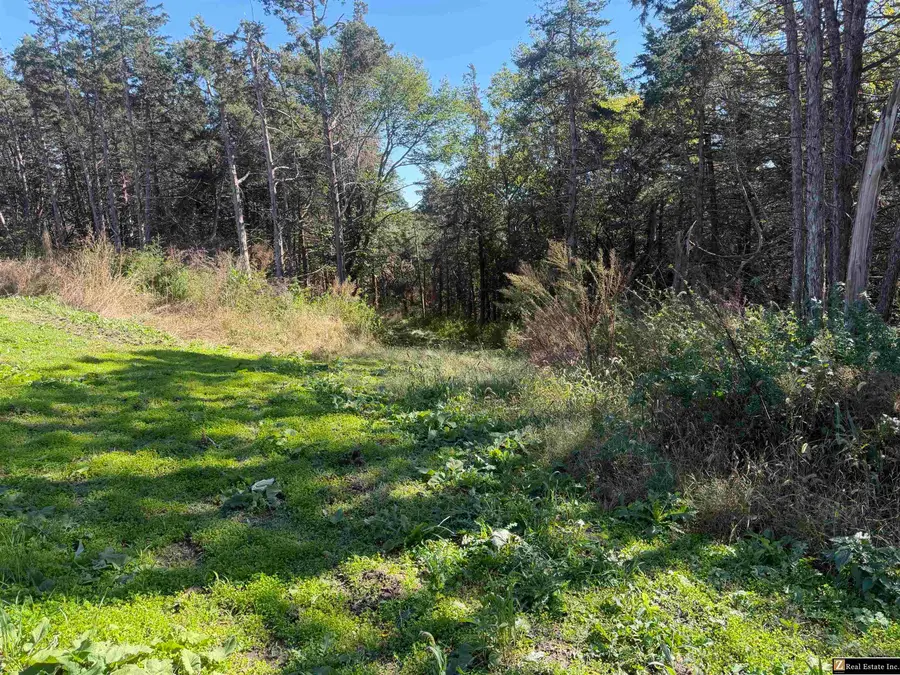 2703 Linwood Road, Morse Bluff, NE 68648 - #2