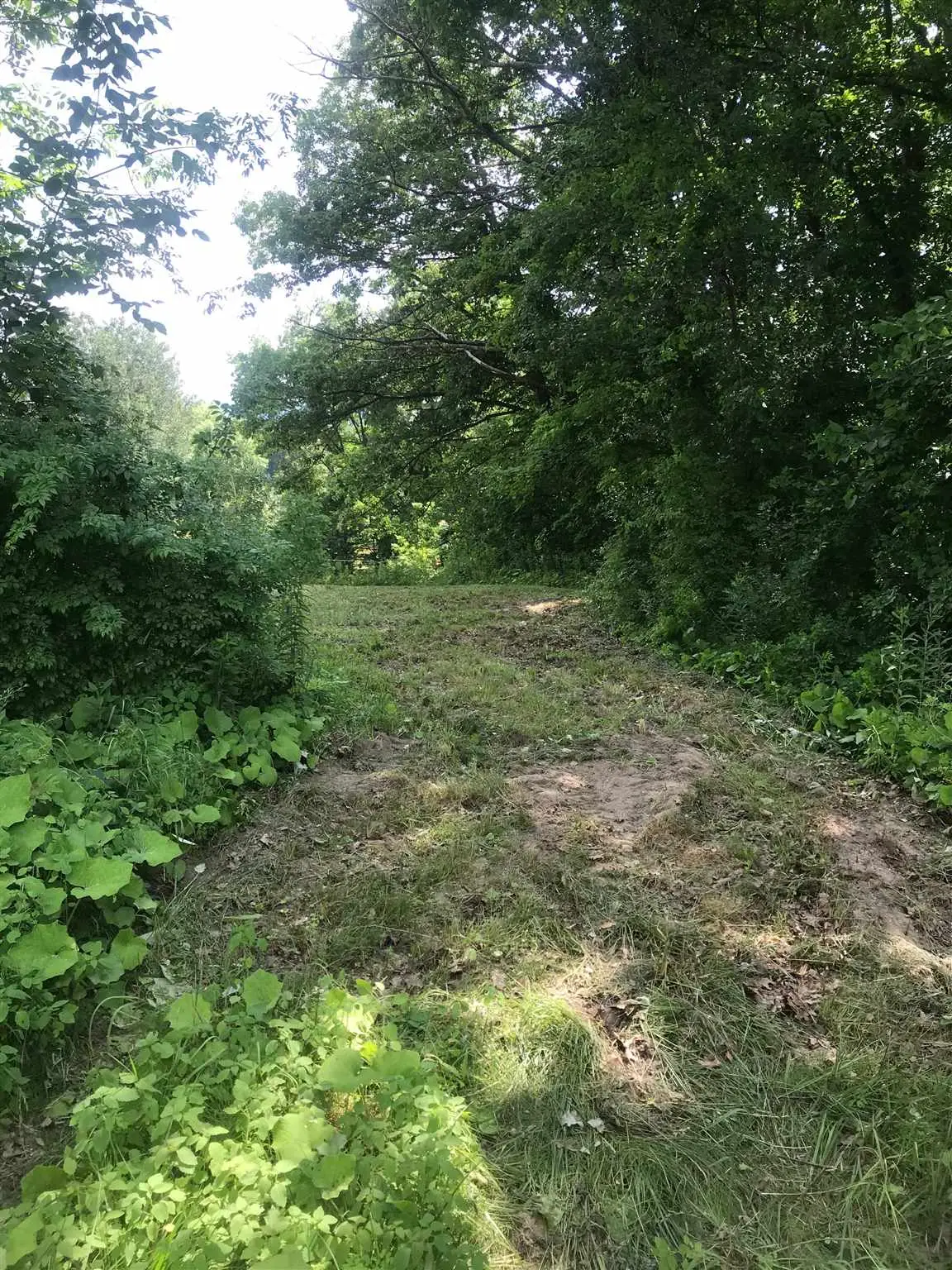 705 Hedgehog Hill Road, Mount Holly, VT 05758 - Image #1