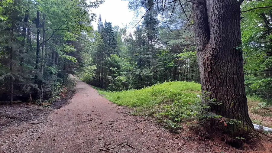 0 Route 155, Weston, VT 05161 - Image #2