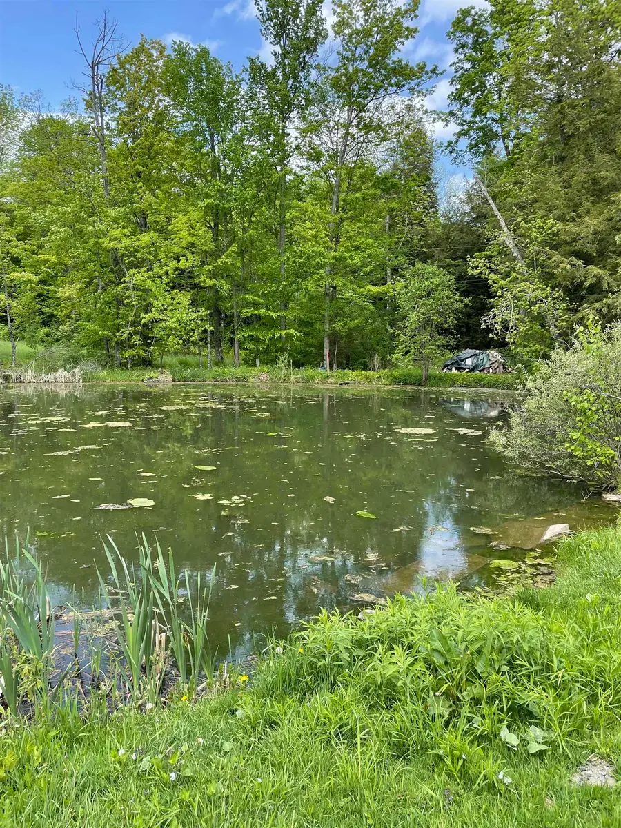 234 Randall Road, Woodstock, VT 05091 - Image #3