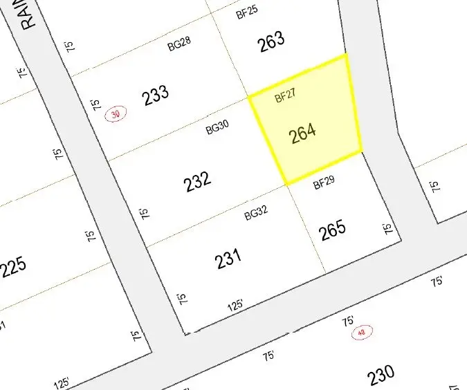 Midnight Walk #264, Hillsborough, NH 03244 - Image #1