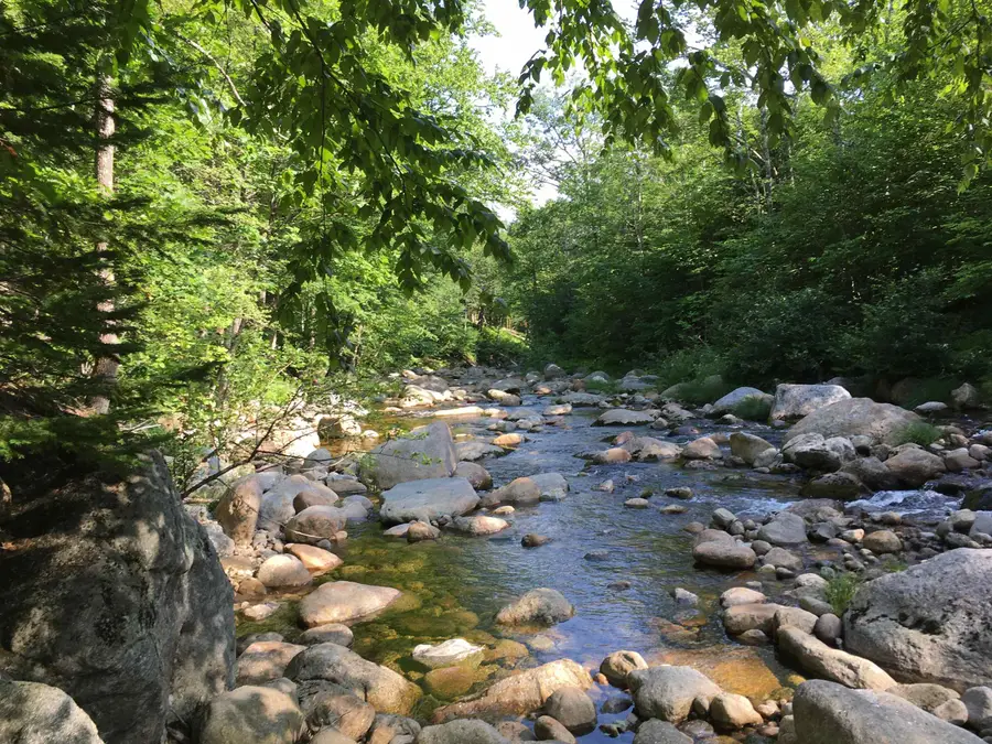 20 Meloon Road, Jackson, NH 03846 - Image #2