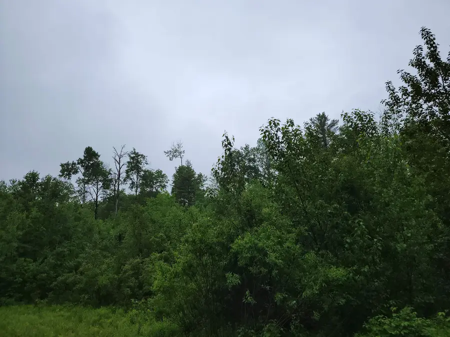 105 Alpenhof Road, Bethlehem, NH 03574 - Image #3