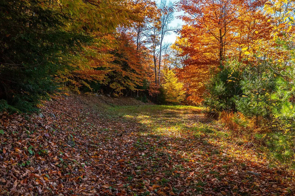 37 Low Road, Hanover, NH 03755 - Image #1