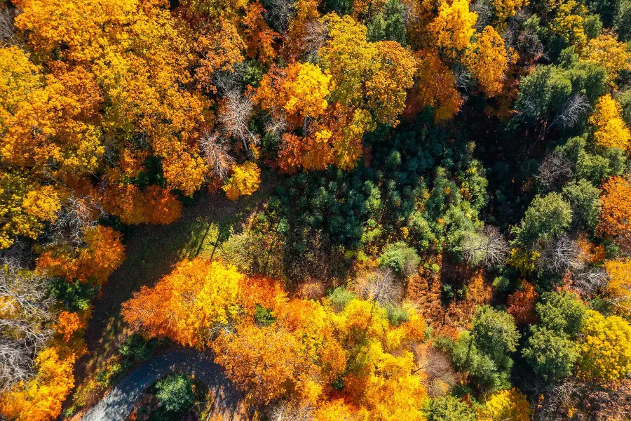 37 Low Road, Hanover, NH 03755 - Image #3