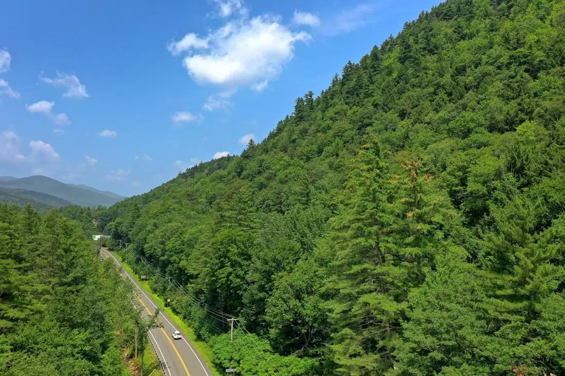 00 Route 100, Plymouth, VT 05056 - Image #1