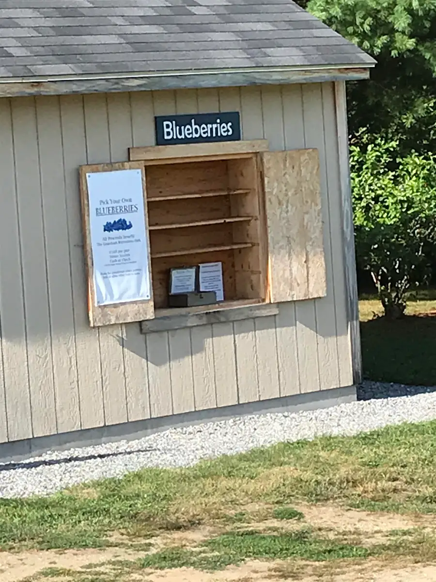 9 Cradle Hill Lane #Lot 9, Grantham, NH 03753 - Image #2