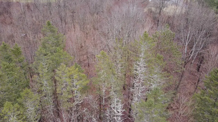 00 Guild Hill Road, Waterbury Town, VT 05677 - Image #3