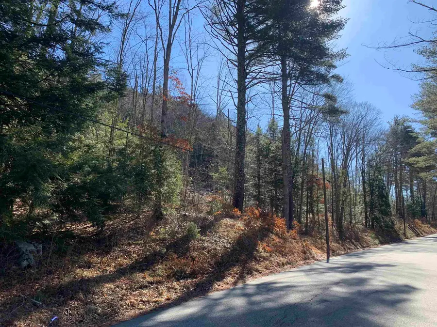 Map3 Lot9-3 Scotland Road, Winchester, NH 03470 - #3