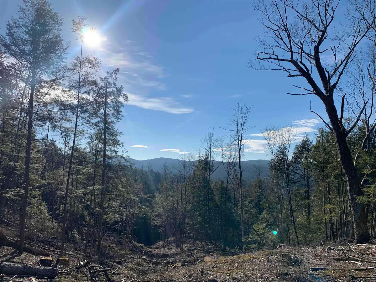 Map3 Lot9-3 Scotland Road, Winchester, NH 03470 - Image #1