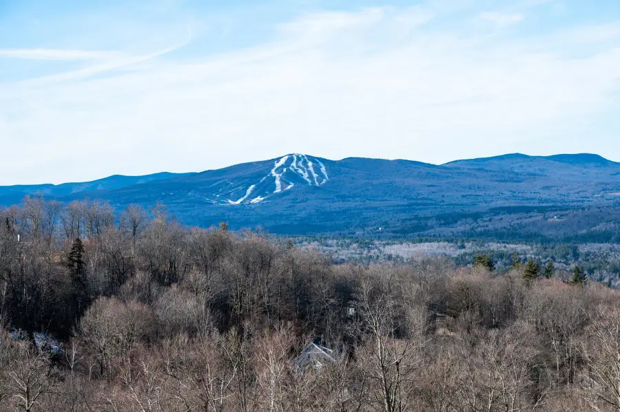 69 Benson Fuller Road #29, Winhall, VT 05340 - Image #2