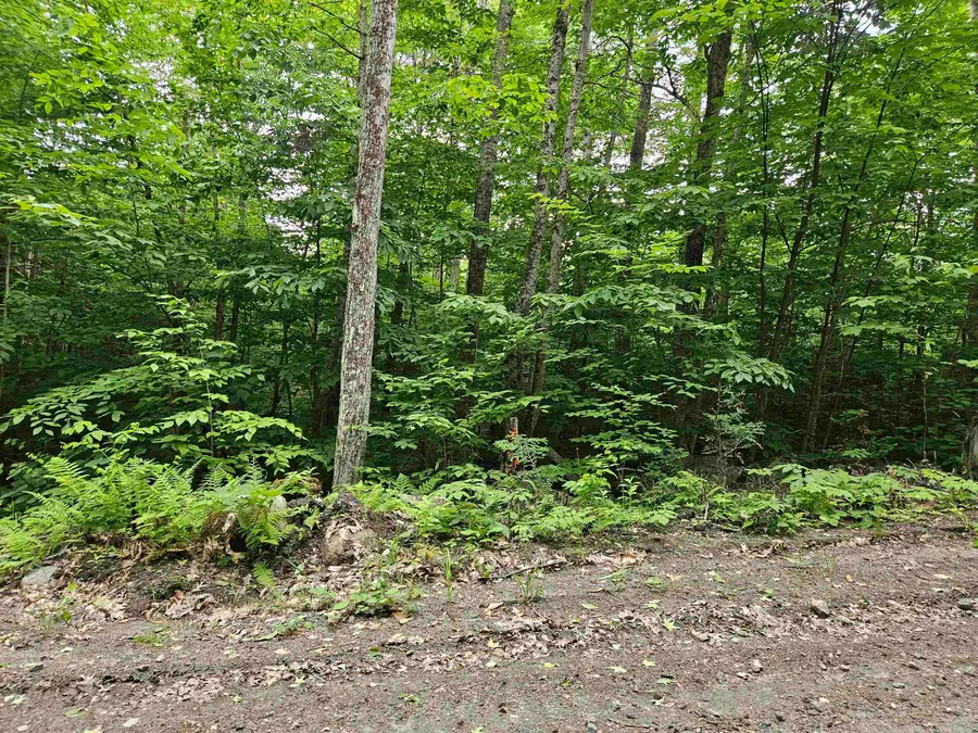 Lot 90 Faraway Road, Dalton, NH 03598 - Image #3