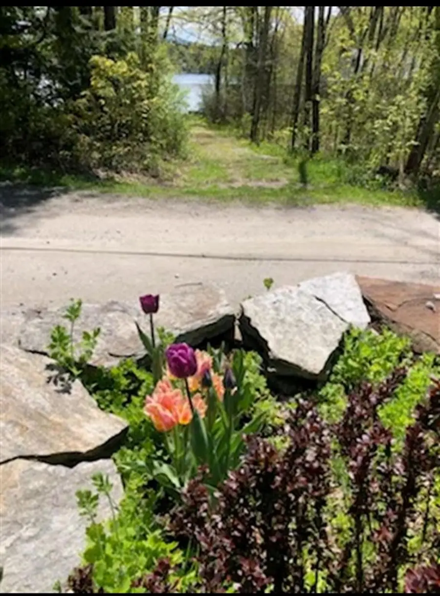 91 White Birch Drive, Tinmouth, VT 05773 - Image #3