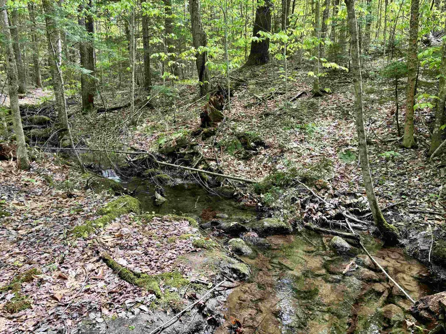 0 Snell Road, Chester, VT 05143 - Image #2