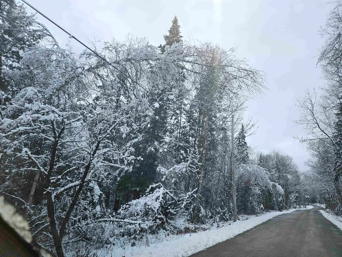 Lot 15 Hadley Road, Sugar Hill, NH 03586 - Image #1