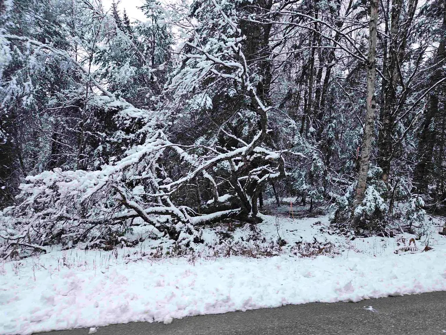 Lot 15 Hadley Road, Sugar Hill, NH 03586 - Image #2