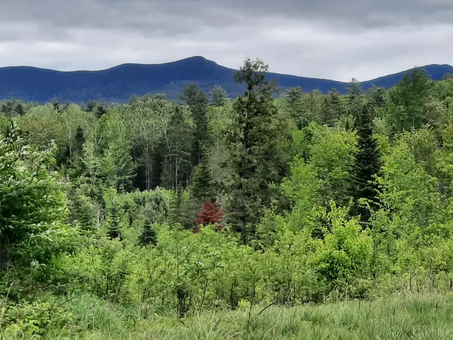 Lots 7 & 8 Kelsea Drive, Lancaster, NH 03584 - Image #2