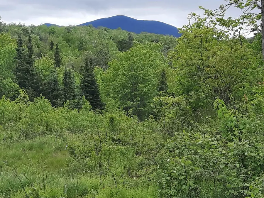 Lots 7 & 8 Kelsea Drive, Lancaster, NH 03584 - Image #3