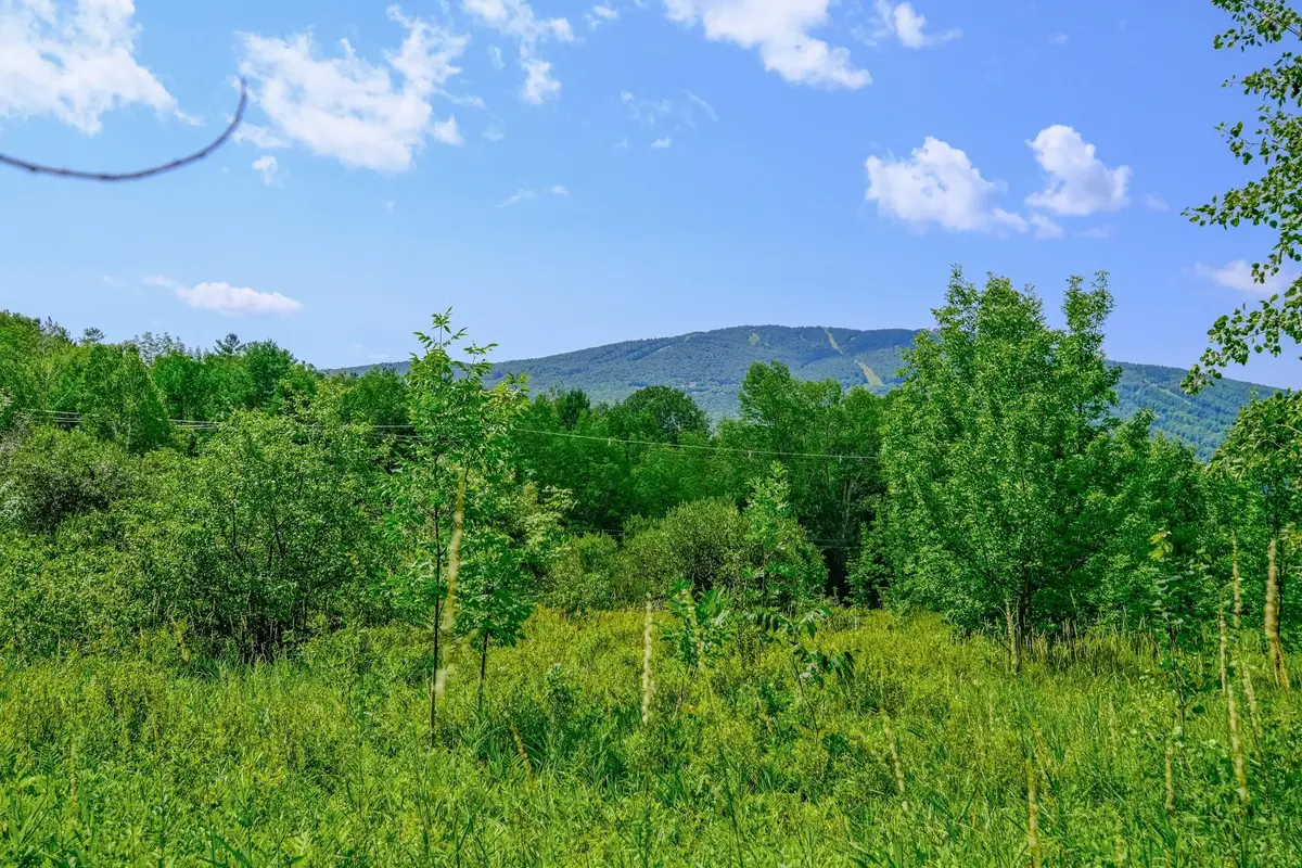 00 Town Farm Road #Lot 26, Ludlow, VT 05149 - Image #1