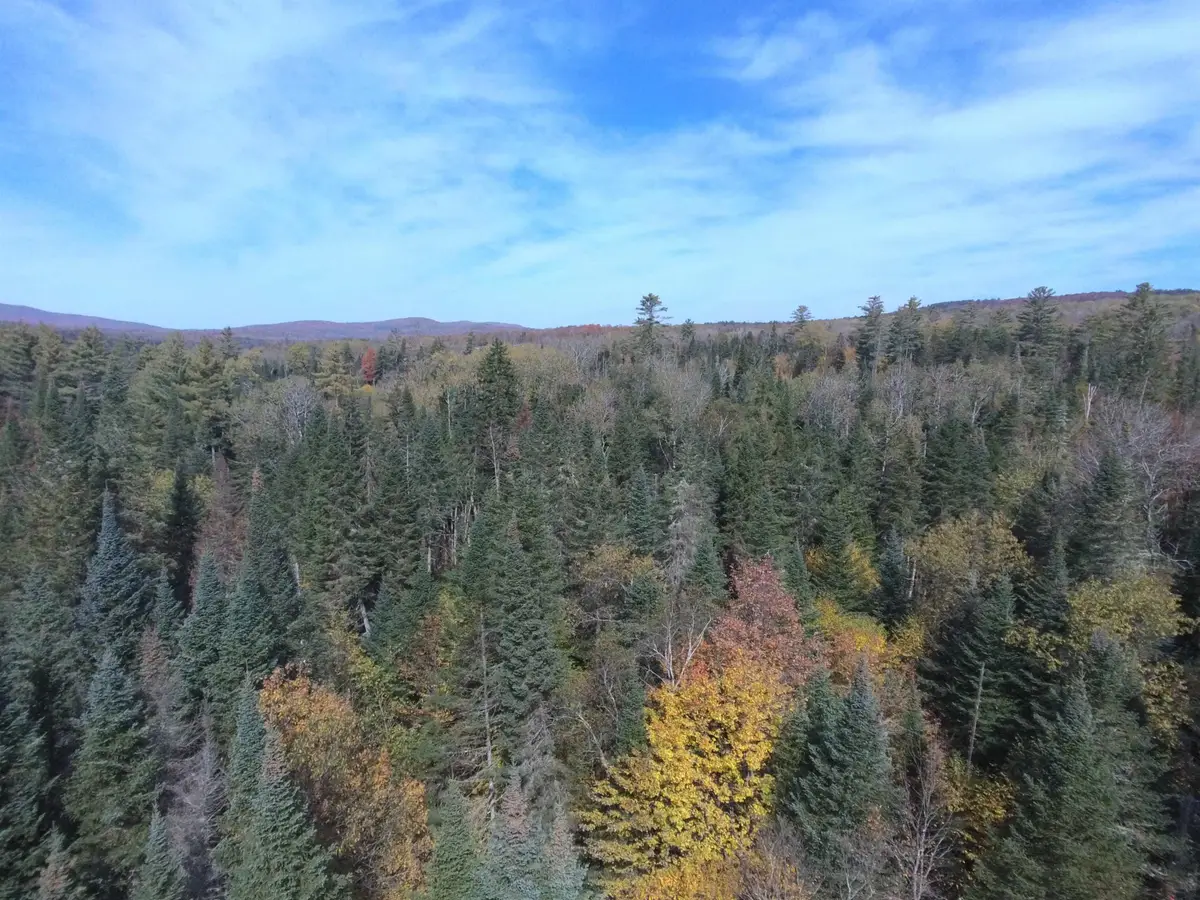 0 Thomas West Road, Lunenburg, VT 05906 - Image #1