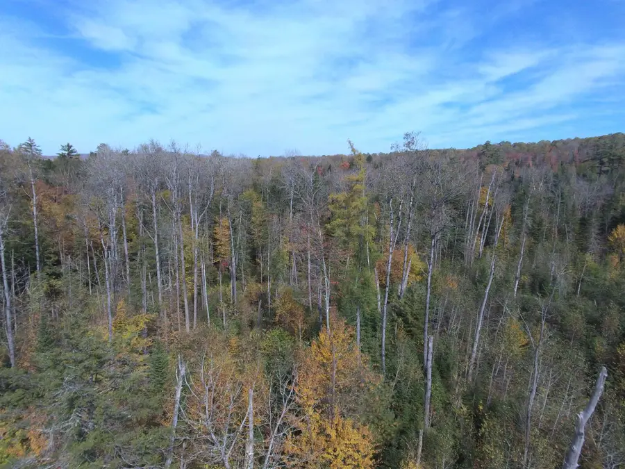 0 Thomas West Road, Lunenburg, VT 05906 - Image #3