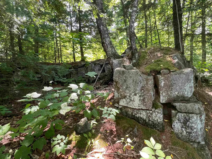 Map 6, Lot 38 Chadwick Hill Road, Webster, NH 03303 - Image #2