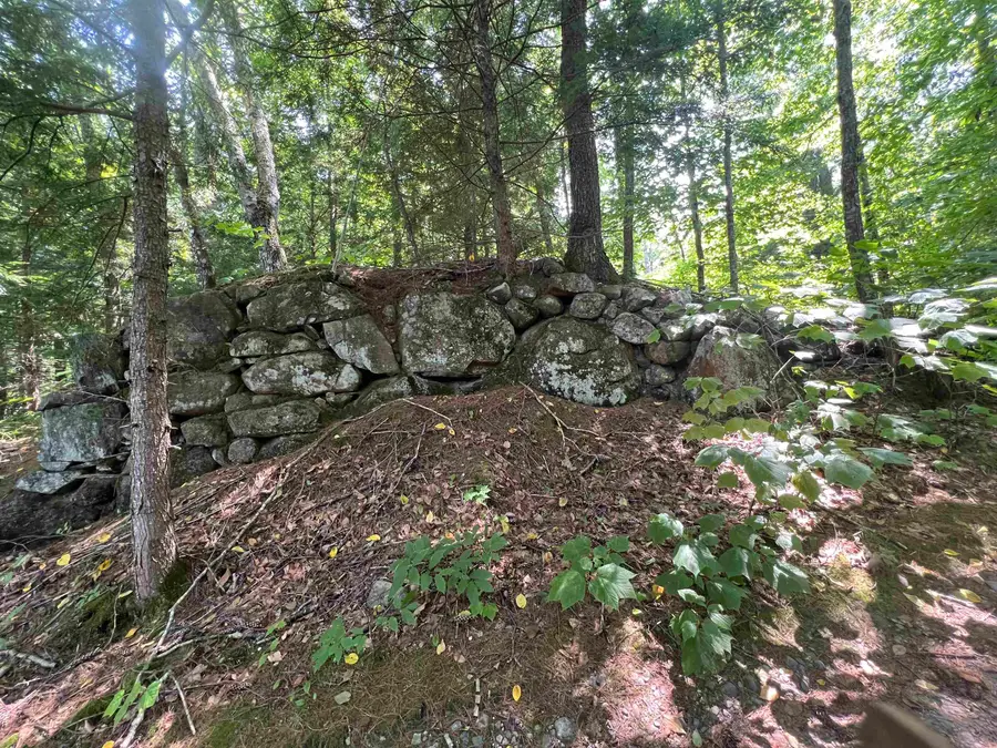 Map 6, Lot 38 Chadwick Hill Road, Webster, NH 03303 - Image #3