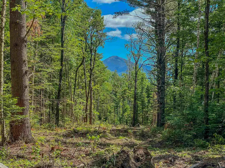 00 Ridge Road #42, Bethlehem, NH 03574 - Image #2