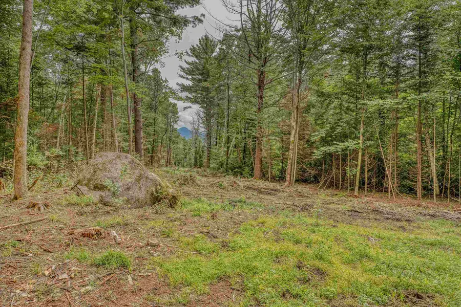 00 Ridge Road #42, Bethlehem, NH 03574 - Image #3