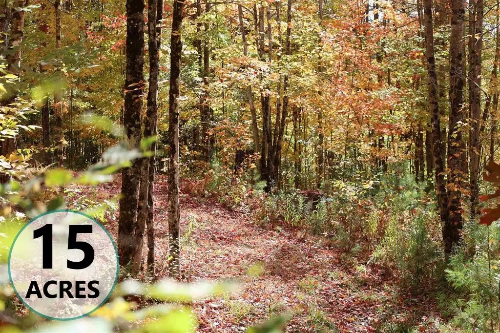 ROW Off Daniels Farm Road, Waterford, VT 05819 - Image #1