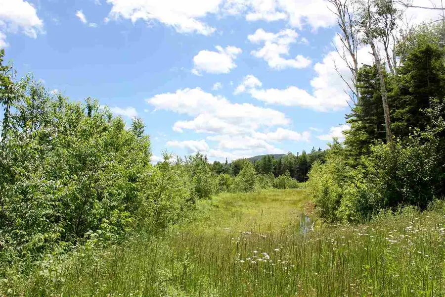 Valley View Drive #8, Andover, VT 05143 - Image #2