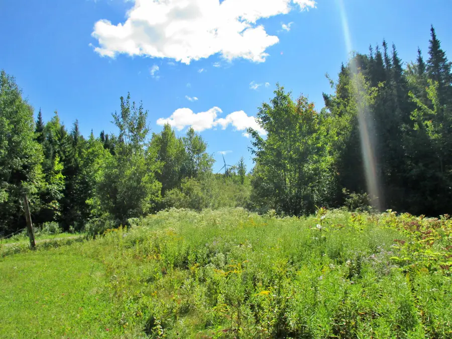 432 Farm Road, Lowell, VT 05847 - Image #3