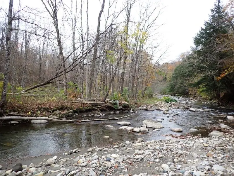 Mine Road, South Strafford, VT 05070 - Image #2