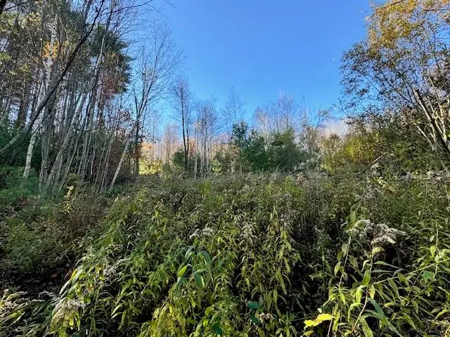 0 Route 132, South Strafford, VT 05070 - Image #3