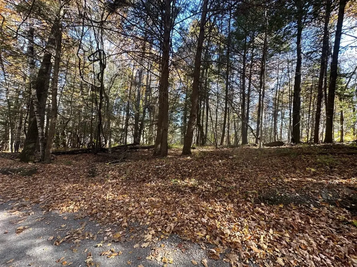 184 Dupre Drive, Guilford, VT 05301 - Image #1