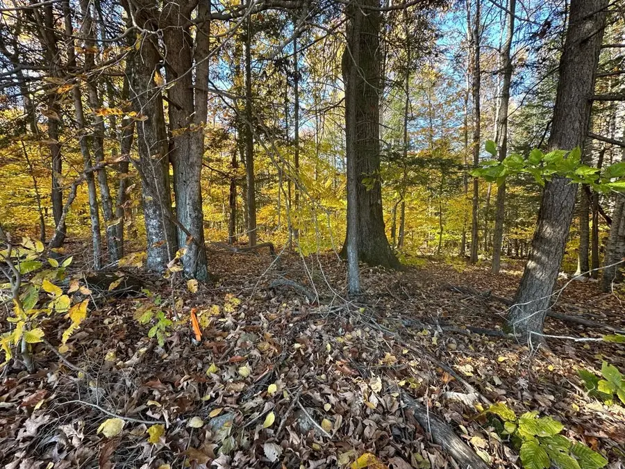 184 Dupre Drive, Guilford, VT 05301 - Image #2