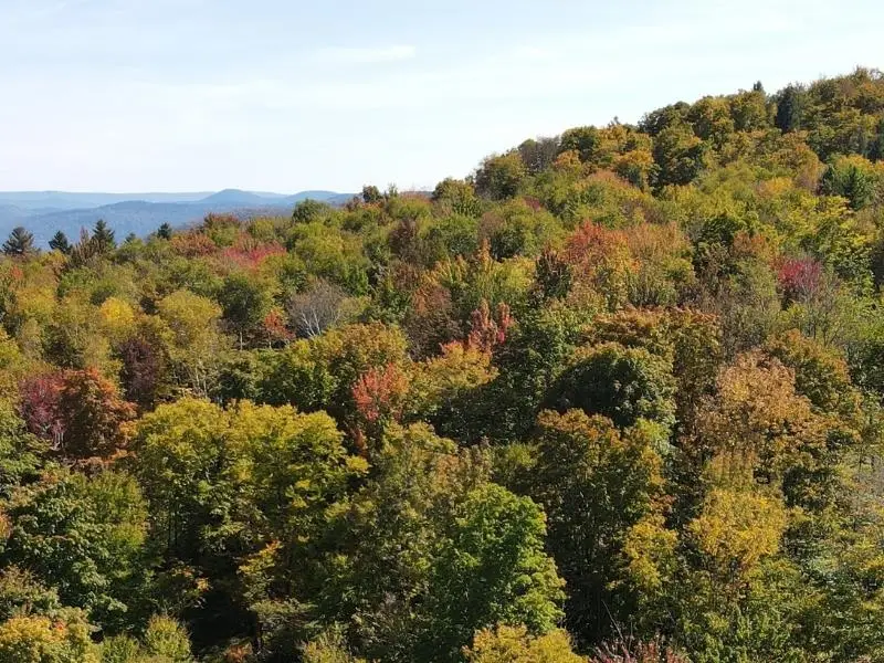 West Hill Road, Jamaica, VT 05343 - Image #1