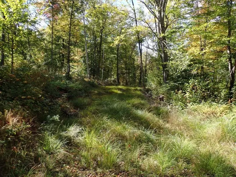 West Hill Road, Jamaica, VT 05343 - Image #3