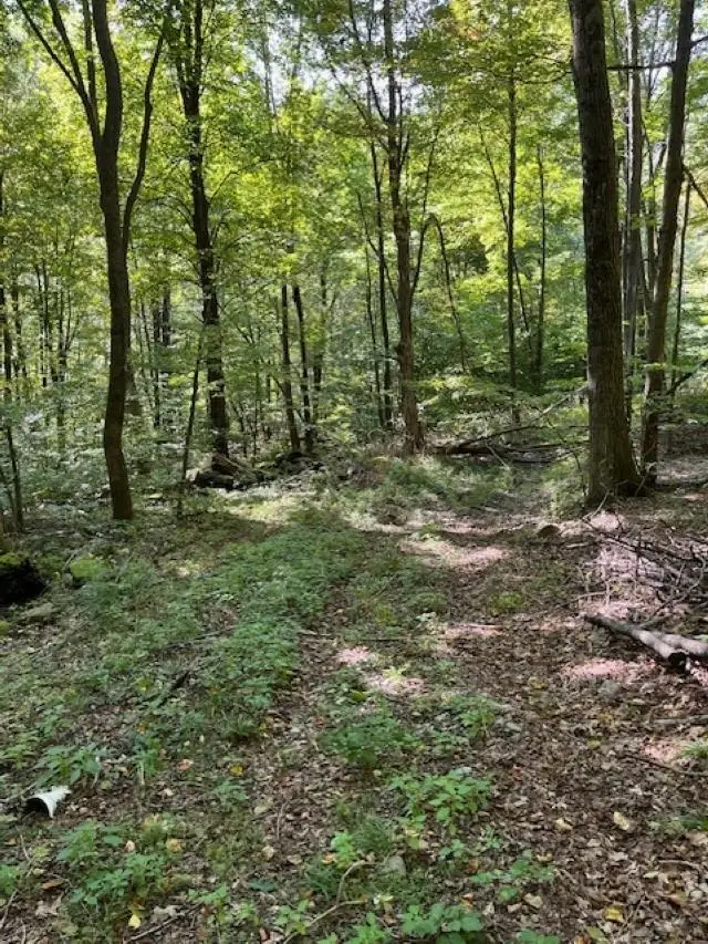 0 Rupert Road, Sandgate, VT 05250 - Image #3