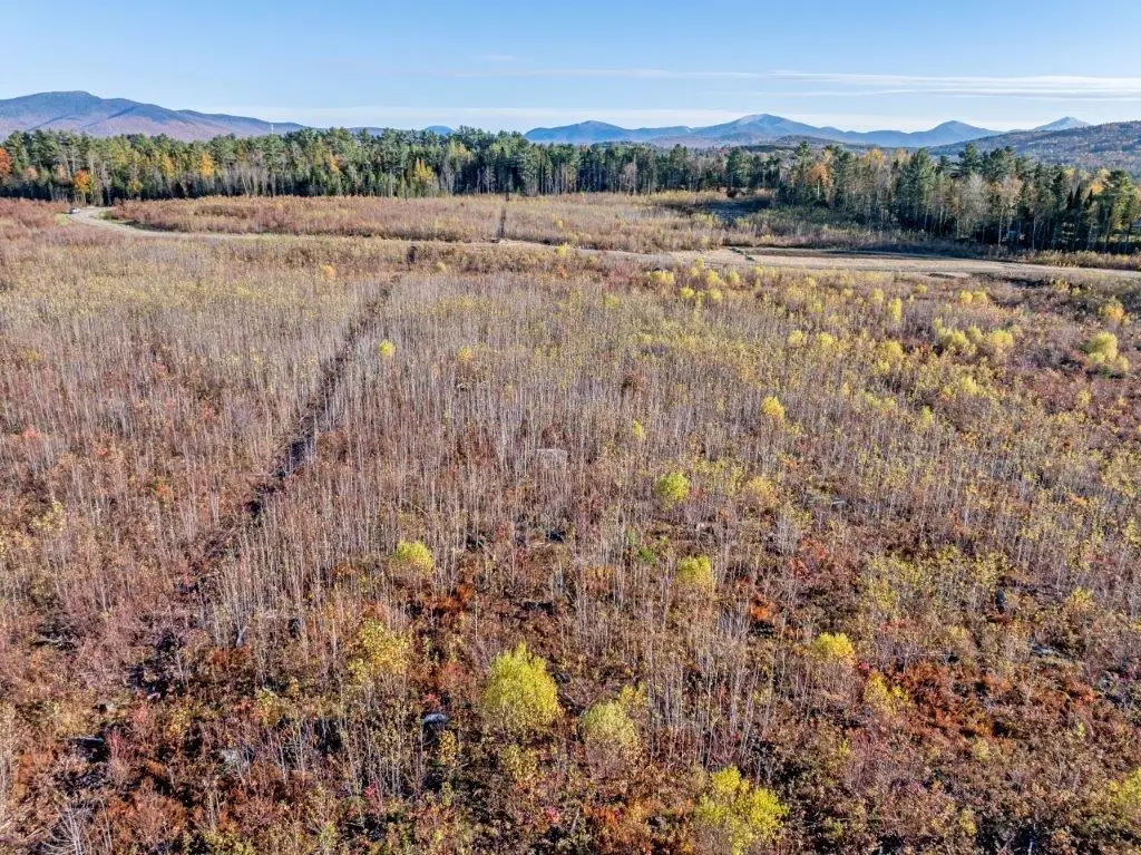 Lot 3 McIntyre Road, Dalton, NH 03598 - Image #1